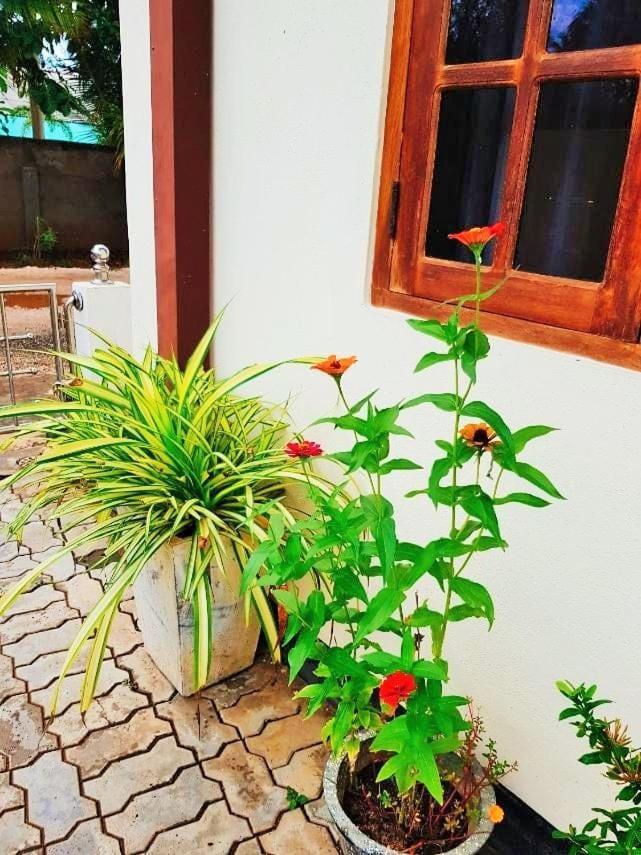 Luxury Everest Hotel Trincomalee Exterior foto